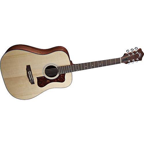 DV-4 Acoustic Guitar