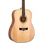 Open-Box Peavey DW-2 Dreadnought Acoustic Guitar Condition 1 - Mint Natural
