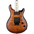 PRS DW CE24 24 Floyd Electric Guitar Burnt Amber Smokeburst240388026