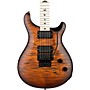 PRS DW CE24 24 Floyd Electric Guitar Burnt Amber Smokeburst 240388026