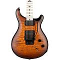 PRS DW CE24 24 Floyd Electric Guitar Burnt Amber Smokeburst240389848