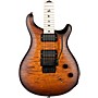 PRS DW CE24 24 Floyd Electric Guitar Burnt Amber Smokeburst 240389848