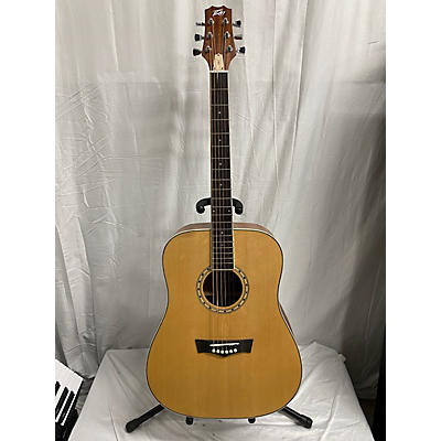 Peavey DW2 Acoustic Guitar