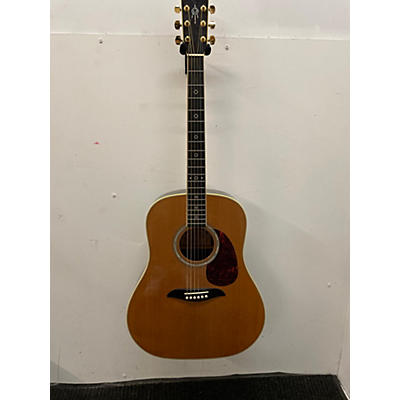 Alvarez DY50N Acoustic Guitar