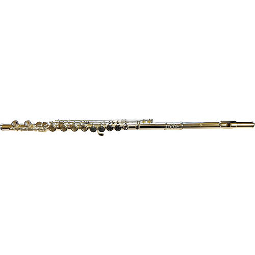 DI ZHAO DZ-100 Student Flute G C-Foot Condition 2 - Blemished Offset G, C-Foot 197881122669