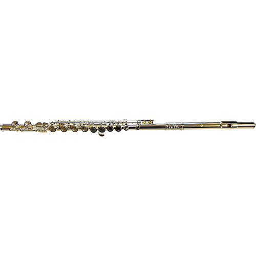 DI ZHAO DZ-100 Student Flute G C-Foot Offset G C-Foot