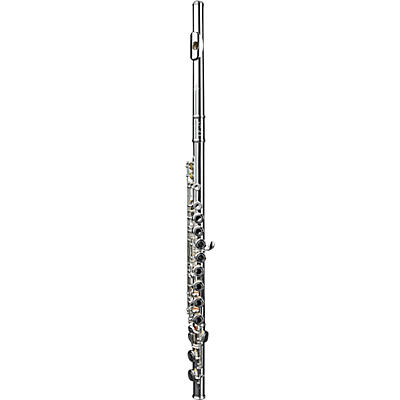 DI ZHAO DZ 301 Student Flute, Closed Hole, Y-Arms, Sterling Silver Riser and Lip-plate