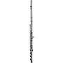 DI ZHAO DZ 401 Student Flute, Open Hole, Y-arms, All Silver Plated with Silver Lip and Riser Offset G B-Foot