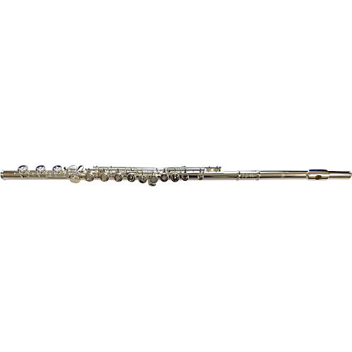 Di Zhao DZ 500 Intermediate Flute Offset G B-Foot
