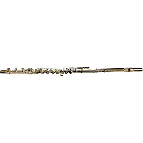 DZ 600 Professional Flute