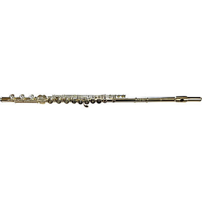 Di Zhao DZ 700 Professional Flute