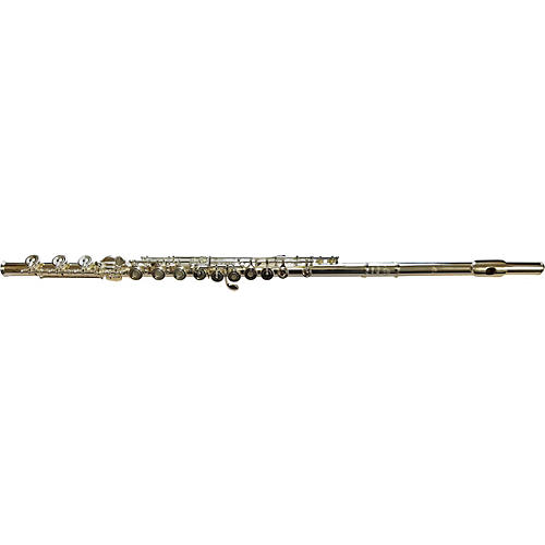 DZ 700 Professional Flute