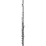 DI ZHAO DZ801 Professional Flute, Open Hole, Pointed Arms, Silver Headjoint and Body Offset G B-Foot