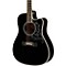 Dave Navarro Signature Model Acoustic-Electric Guitar Level 1 Ebony