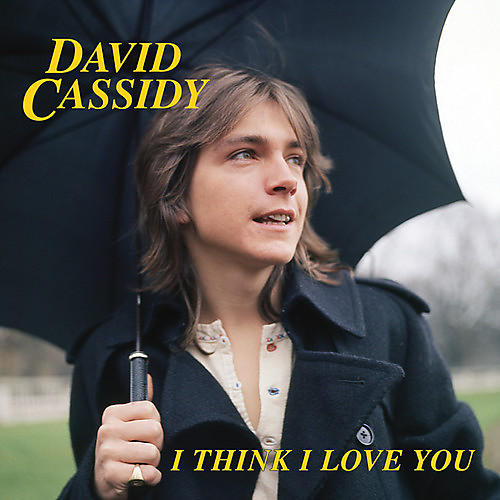 David Cassidy - I Think I Love You