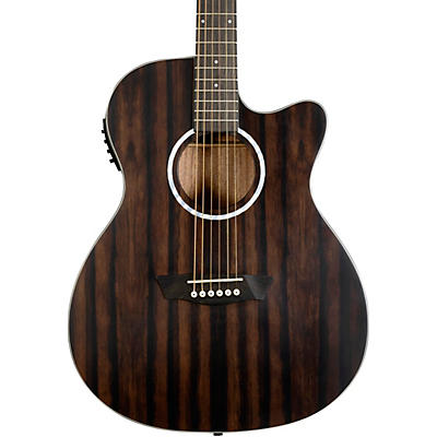 Washburn Deep Forest Ebony ACE Acoustic-Electric Guitar
