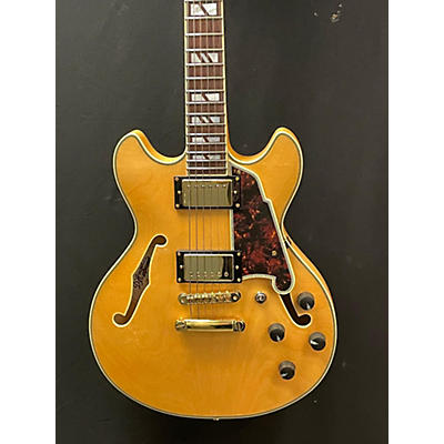 D'Angelico Deluxe Mini DC Hollow Body Electric Guitar