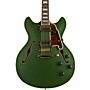 D'Angelico Deluxe Series Limited Edition DC Semi-Hollowbody Electric Guitar Matte Emerald Tortoise Pickguard