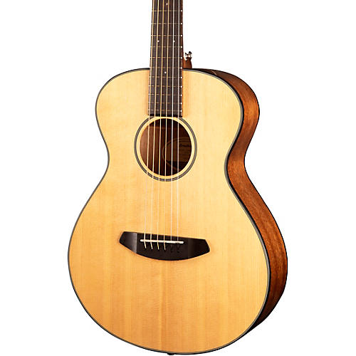 Discovery Companion Acoustic Guitar