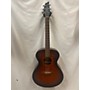 Used Breedlove Discovery Concert Acoustic Guitar Brown Burst