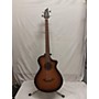 Used Breedlove Discovery Concert ED Bass CE Acoustic Bass Guitar 3 Color Sunburst