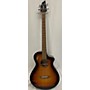 Used Breedlove Discovery S Concert Ce Bass Acoustic Bass Guitar Tobacco Burst