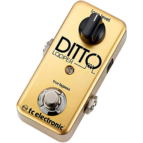 Ditto Looper Guitar Effects Pedal Gold