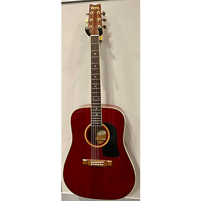 Washburn Dm100 Acoustic Guitar