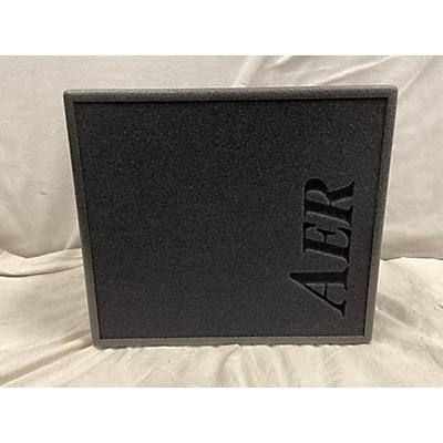 AER Domino 3 2x8 100W Acoustic Guitar Combo Amp