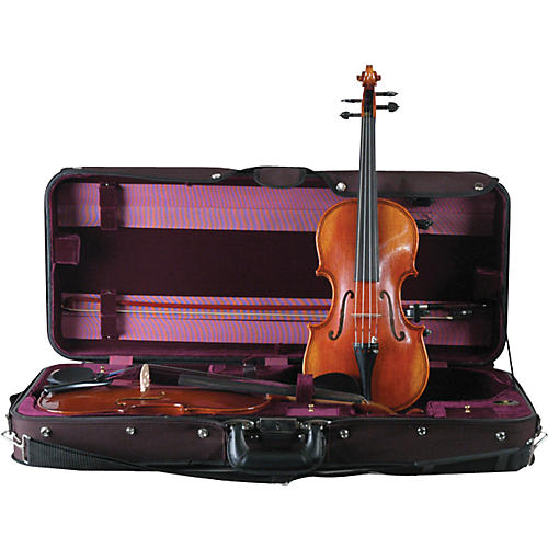 Double Violin Case