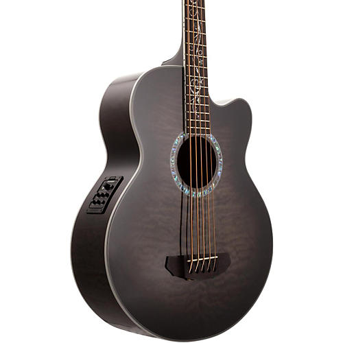 Dragonfly 5-String Acoustic-Electric Bass