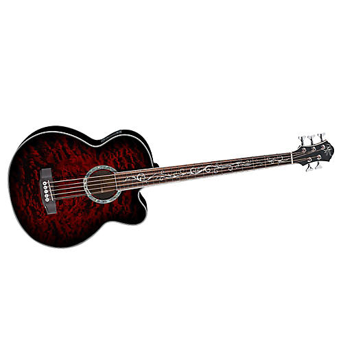 Dragonfly 5-String Acoustic-Electric Bass