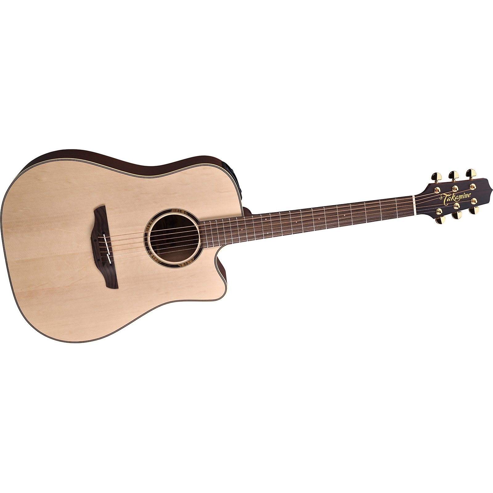 Takamine Dreadnought ETN10 Acoustic-Electric Guitar | Musician's Friend