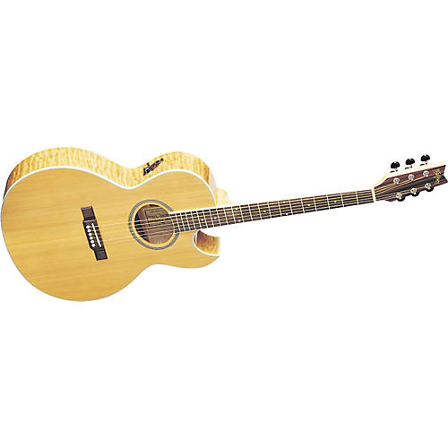 EA20SDL Acoustic-Electric Guitar