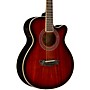 Washburn EA55G-A Festival Acoustic-Electric Guitar - Koa Burst