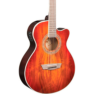 Washburn EA55G-A Festival Acoustic-Electric Guitar