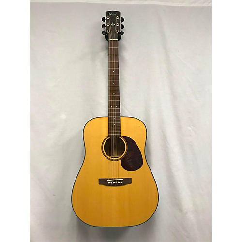EARTH100 Acoustic Guitar