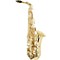 EAS-100 Student Alto Saxophone Level 2 Lacquer 888365296692