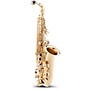 Open-Box Etude EAS-200 Student Series Alto Saxophone Condition 2 - Blemished Lacquer 197881055172