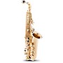 Open-Box Etude EAS-200 Student Series Alto Saxophone Condition 2 - Blemished Lacquer 197881381561
