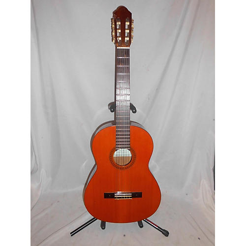 EC12 Acoustic Guitar