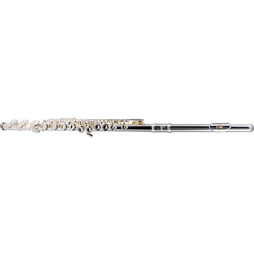 Etude EFL-200 Student Series Flute Condition 2 - Blemished Offset G, C-Foot 197881054878