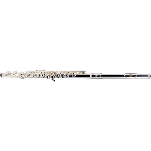 Etude EFL-200 Student Series Flute Condition 2 - Blemished Offset G, C-Foot 197881148409