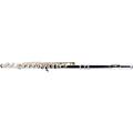 Etude EFL-200 Student Series Flute Condition 2 - Blemished Offset G, C-Foot 197881493165Condition 2 - Blemished Offset G, C-Foot 197881493165