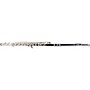 Open-Box Etude EFL-200 Student Series Flute Condition 2 - Blemished Offset G, C-Foot 197881493165
