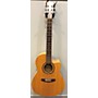 Used Norman ENCORE B20 CW FOLK 4T Acoustic Electric Guitar Natural