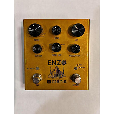 Meris ENZO Effect Pedal