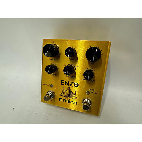 Meris ENZO Effect Pedal