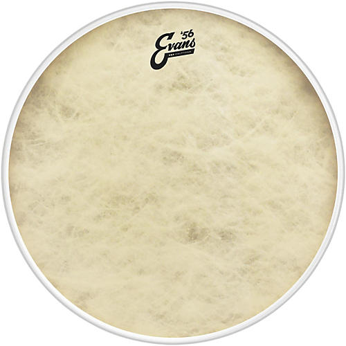 Evans EQ4 Calftone Bass Drum Head 24 in.