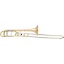 Eastman ETB428MG Intermediate Series F-Attachment Trombone Lacquer Gold Brass Bell